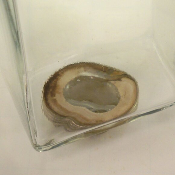 Vintage Travel Glass Square Flask 6.5" Tall - Picture 6 of 6